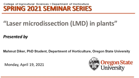 Thumbnail for entry Horticulture Seminar (HORT 507) Spring 2021, Mahmut Diker, &quot;Laser microdissection (LMD) in plants&quot;
