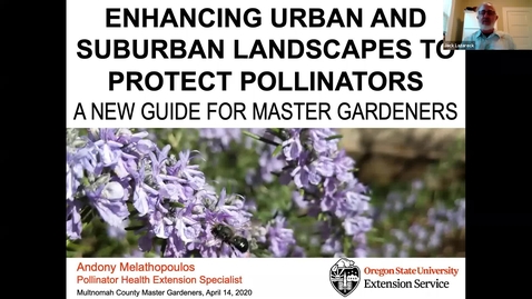 Thumbnail for Pollinators and Gardens
