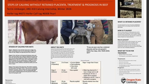 Thumbnail for Umbarger, Terrin Marie's Personal Meeting Room