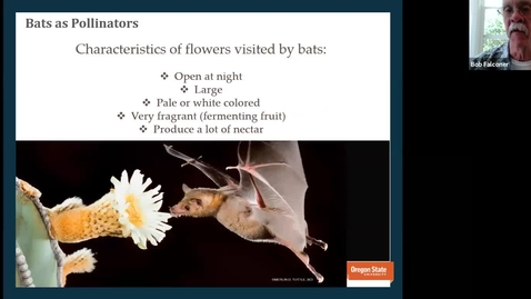 Thumbnail for Pollination and the Pollinators: Sex and the Single Flower