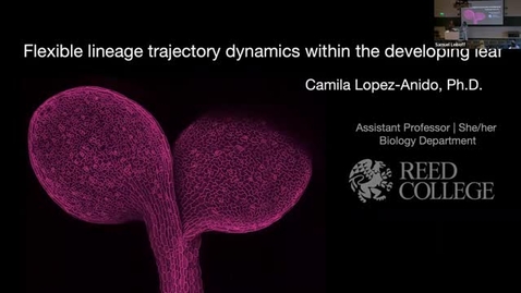 Thumbnail for entry BPP Fall 2022 Seminar : Dr. Camila Lopez-Anido