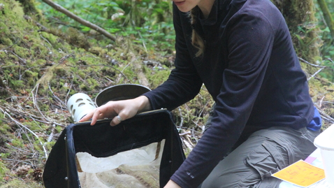 Thumbnail for Oregon Season Tracker Retreat