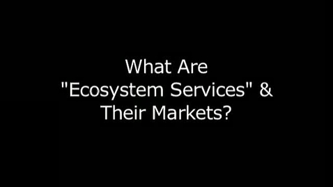 Thumbnail for FOR 599: Ecosystem Services and Family Forestlands