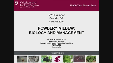 Thumbnail for 20160308 Powdery Mildew: Biology and Management 