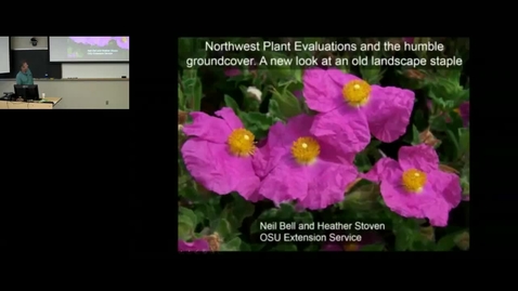 Thumbnail for Northwest plant evaluations and the humble groundcover: A new look at an old landscape staple by Neil Bell and Heather Stoven