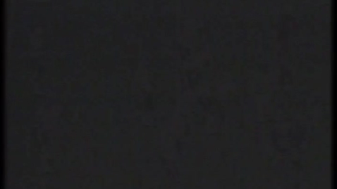 Thumbnail for Tackling Productivity in Mechanized Logging