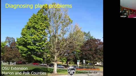 Thumbnail for **Diagnosing plant problems: A systematic approach - Metro area OSU Extension Master Gardener - Garden Webinar Series, August 21, 2020