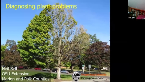 Thumbnail for entry **Diagnosing plant problems: A systematic approach - Metro area OSU Extension Master Gardener - Garden Webinar Series, August 21, 2020