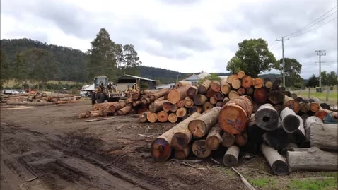 Thumbnail for Sweetman's Timber