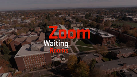 Thumbnail for entry Zoom | Waiting Rooms