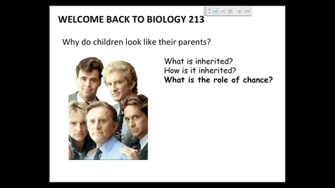 Thumbnail for BI 213 - Lecture 04
