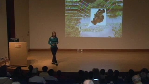 Thumbnail for Scholars' Insights 2013: Julia Buck