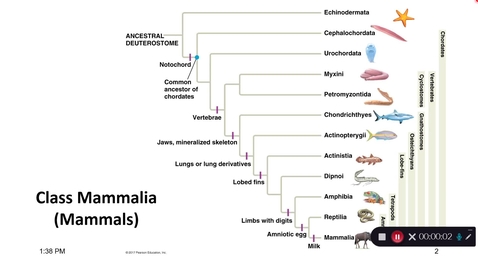 Thumbnail for Lecture14-1