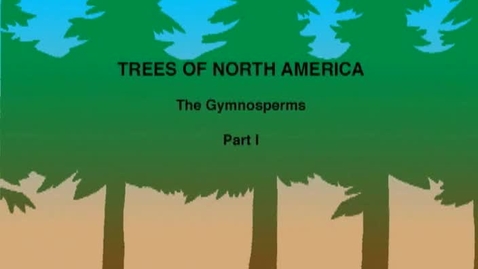 Thumbnail for entry Trees of North America: The Gymnosperms - Part I