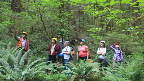 Thumbnail for Oregon Season Tracker Retreat