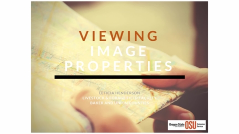 Thumbnail for Viewing Image Properties