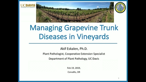 Thumbnail for Research Seminar 2019: Dr. Akif Eskalen, UC Davis