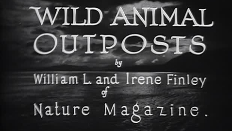 Thumbnail for entry &quot;Wild Animal Outposts,&quot; 1926.
