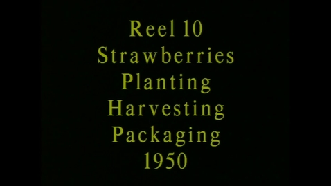 Thumbnail for Alderman Farms film reels, 1950.