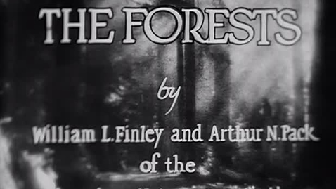 Thumbnail for entry &quot;The Forests,&quot; 1927.