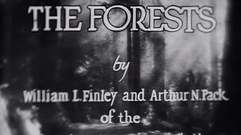 Thumbnail for "The Forests," 1927.