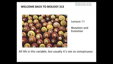 Thumbnail for entry BI 213 - Lecture 12