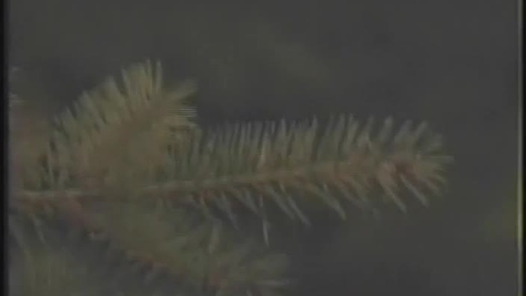 Thumbnail for Perspectives on Ecosystem Management Part 1