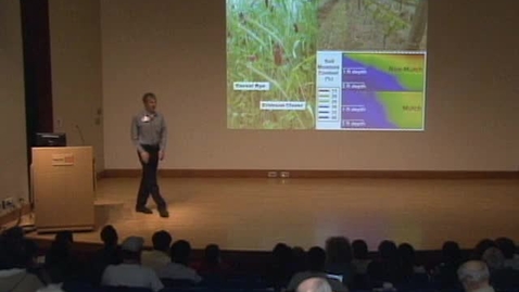 Thumbnail for Scholars' Insights 2013 - Morgan Curtis: How Mulch Do You Know About Vineyard Cover Crops?