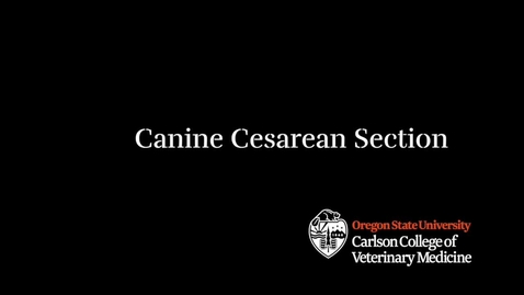 Thumbnail for C-Section