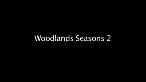 Thumbnail for entry Woodlands Seasons 2