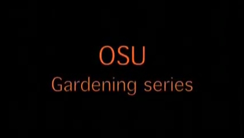 Thumbnail for Garden Starts