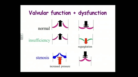 Thumbnail for Cardiovascular 4_MAGR-298LCS_2014-10-07
