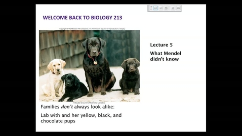 Thumbnail for entry BI 213 - Lecture 05