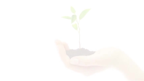 Thumbnail for &quot;Planting Seeds of Change&quot; school gardening film