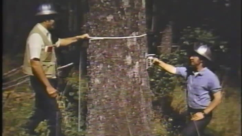 Thumbnail for Forest Communities: Composition, Structure and Classification