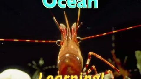 Thumbnail for entry Ocean Learning 10