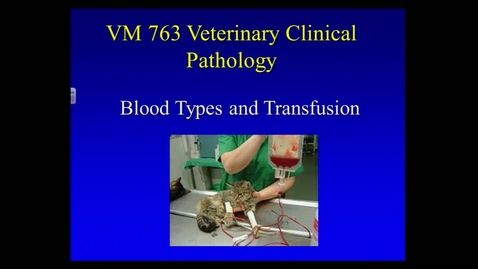 Thumbnail for VMB763 Lecture 10. January 29, 2014