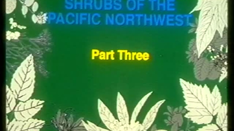 Thumbnail for &quot;Shrubs of the Pacific Northwest - Part 3,&quot; 1995