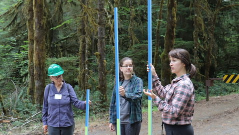 Thumbnail for Oregon Season Tracker Retreat