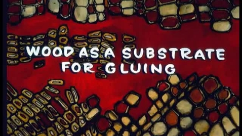 Thumbnail for Wood as a Substrate for Gluing
