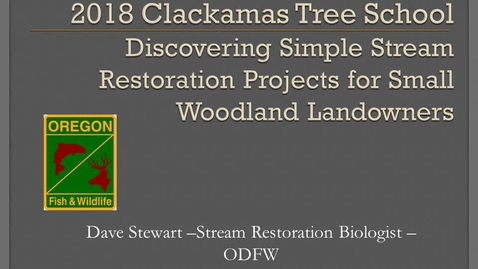 Thumbnail for 19D-Stewart-Discovering-tree school-final