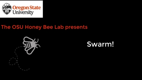 Thumbnail for Swarm 2020