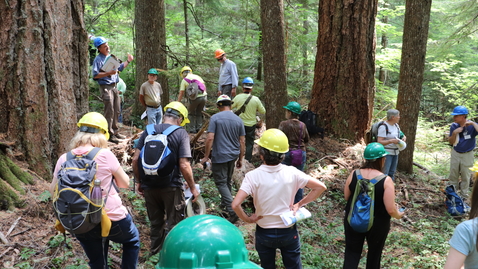 Thumbnail for Oregon Season Tracker Retreat
