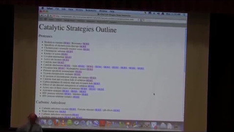 Thumbnail for BB 450 Lecture for October 28, 2009