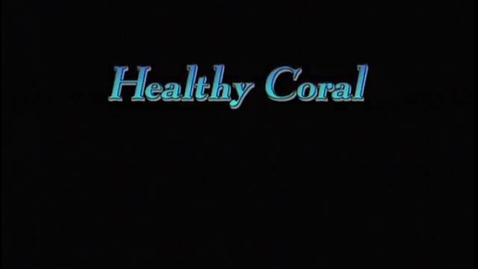 Thumbnail for entry Coral Reefs