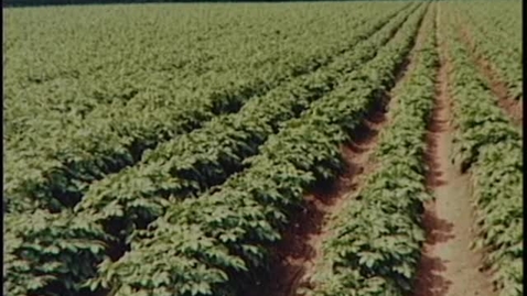 Thumbnail for Oregon Tilth documentary - Part 19