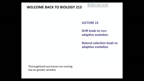 Thumbnail for BI 213 - Lecture 15