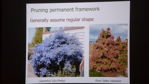 Thumbnail for Blooming! New or Old Wood by Neil Bell