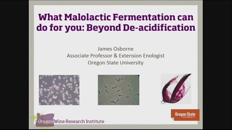 Thumbnail for 20150318  What Malolactic Fermentation Can Do for You: Beyond De-acidification