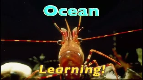 Thumbnail for entry Ocean Learning 16